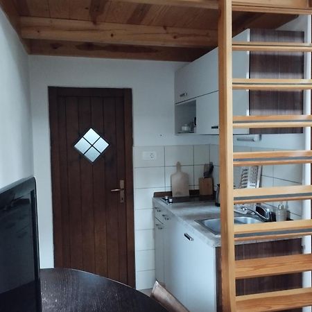 Apartment Sever Idrija Extérieur photo